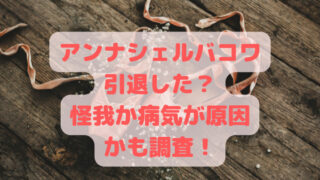 アンナシェルバコワ引退した？怪我か病気が原因かも調査！