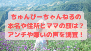 ちゅんぴーちゃんねるの本名や住所とママの顔は？アンチや嫌いの声を調査！