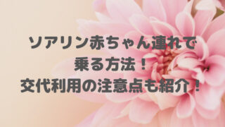 ソアリン赤ちゃん連れで乗る方法！交代利用の注意点も紹介！