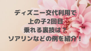 ディズニー交代利用で上の子2回目乗れる裏技は？ソアリンなどの例を紹介！