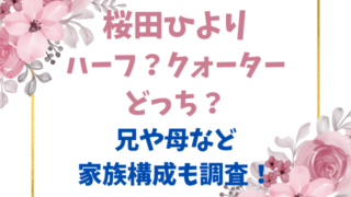 桜田ひよりはハーフ？クォーターどっち？兄や母など家族構成も調査！