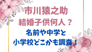 市川猿之助結婚子供何人？名前や中学と小学校どこかも調査！