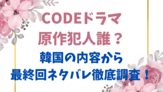 CODEドラマ原作犯人誰？韓国の内容から最終回ネタバレ徹底調査！
