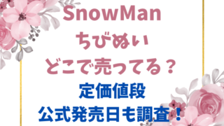 SnowManちびぬいどこで売ってる？定価値段や公式発売日も調査！